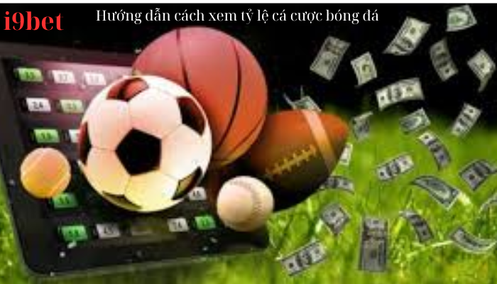 Hướng dẫn cách xem tỷ lệ cá cược bóng đá